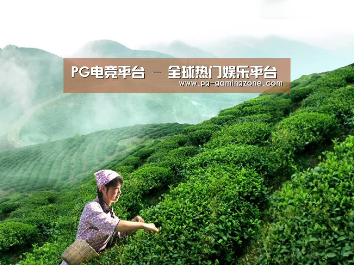 PG电竞平台 - 全球热门娱乐平台