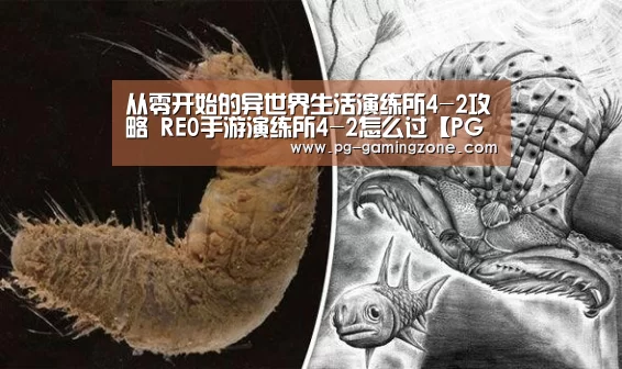 PG足球