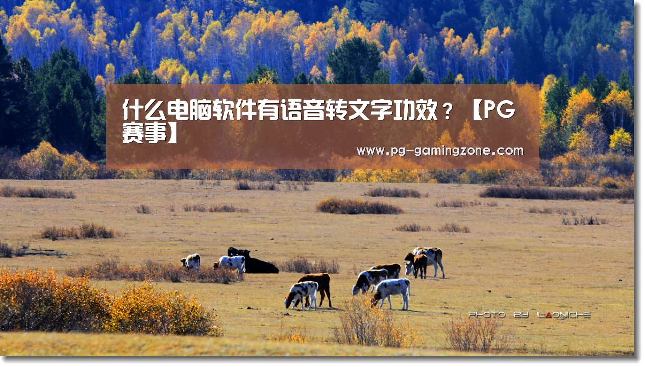 什么电脑软件有语音转文字功效?【PG赛事】(图3) PG赛事