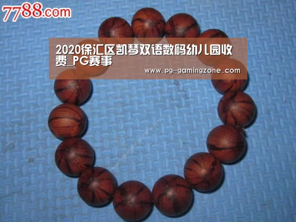 2020徐汇区凯琴双语数码幼儿园收费_PG赛事(图2) PG足球