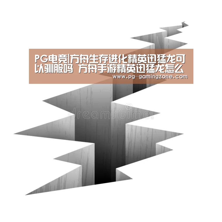 PG虎机